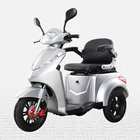 Trike T408-2 500W Electric Mobility Scooter Adult Trike With Hub Brake For Elderly