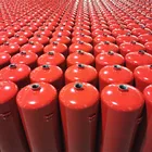 Portable ISO Standard 12kg Abc Dry Powder Fire Extinguisher Good Price
