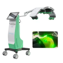 S.W 10D Max Lipo Master Light Therapy Machine 360 Degree 532nm Green Light Body Pain Wound Healing Weight Loss Arm Rejuvenation