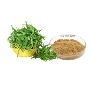 Sabah Snake Grass extract Drooping Clinacanthus Extract Powder 20:1 Clinacanthus nutans Extract