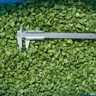Kosher Sweet New Fresh Vegetables KOSHER IQF Sweet Pepper
