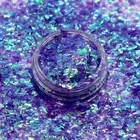 Glitter Flakes Glitter Flakes Newest Light Color Irregular Sequins Bulk Transparent Neon Irregular Glitter Flakes