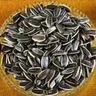 Sunflower Factory 363/361/601 Bag Giant Sunflower Black Seeds Salted Wholesale Price For Selling