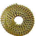 Screw Shank/Ring/Roof Coil Nails Coil Roofing Wire Nails Factory