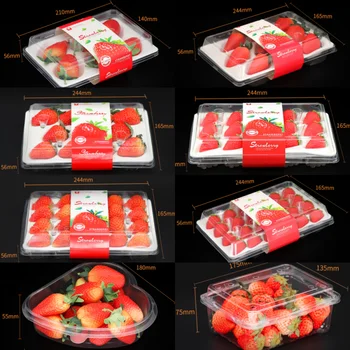 Manufacturer Eco-Friendly Clear PET Blister Box Fruits Plastic Container clamshell Strawberry Boxes Packaging for Supermarket