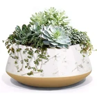 Garden Plant Flower Succulent Pots Ceramic New Indoor Outdoor Garden Pot With Drainage For Plant Flower