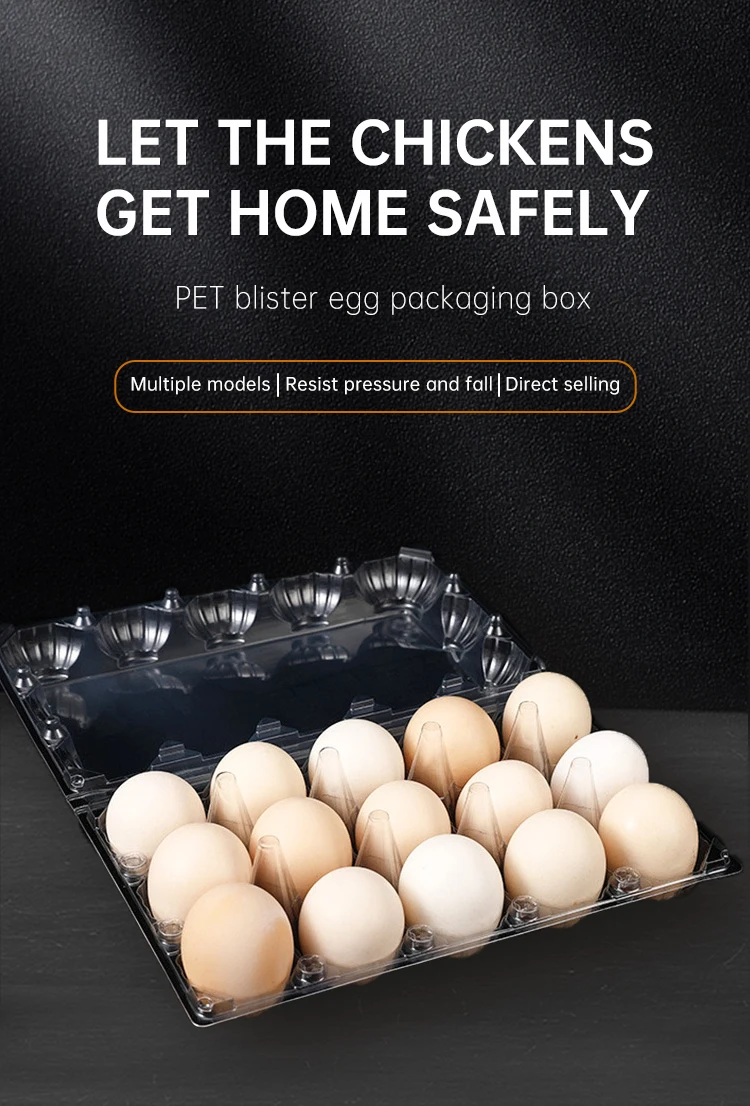 Disposable Transparent Pet Plastic Blister Trays