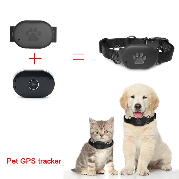 Independence Slightly Suffix Accurate Real Time Location Tracking Device Anti-lost For Animal Gps Tracker  Cat Dog Gps Trackers Collar Mini Pet Tracker Gps - Buy Pet Tracker Gps,Dog  Gps,Gps Dog Collar Product on Alibaba.com