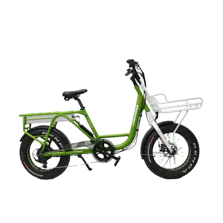 Tdn03z-f 20 Inch Bike Fat Tire Electric 