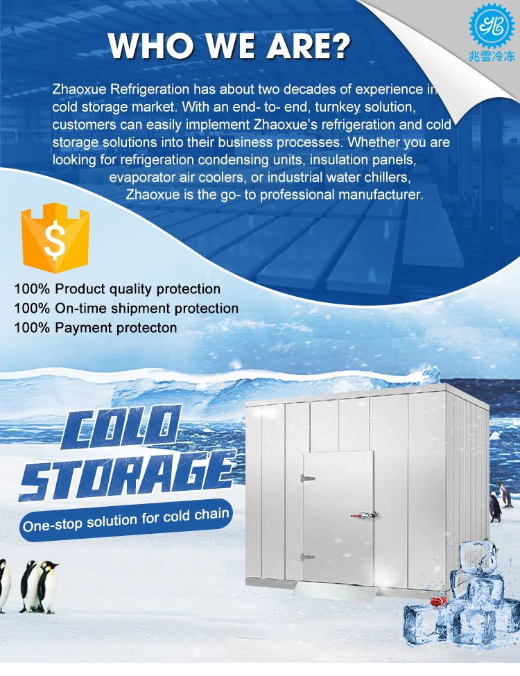 Blast Freezer, 220V, 5 ton - detail 2