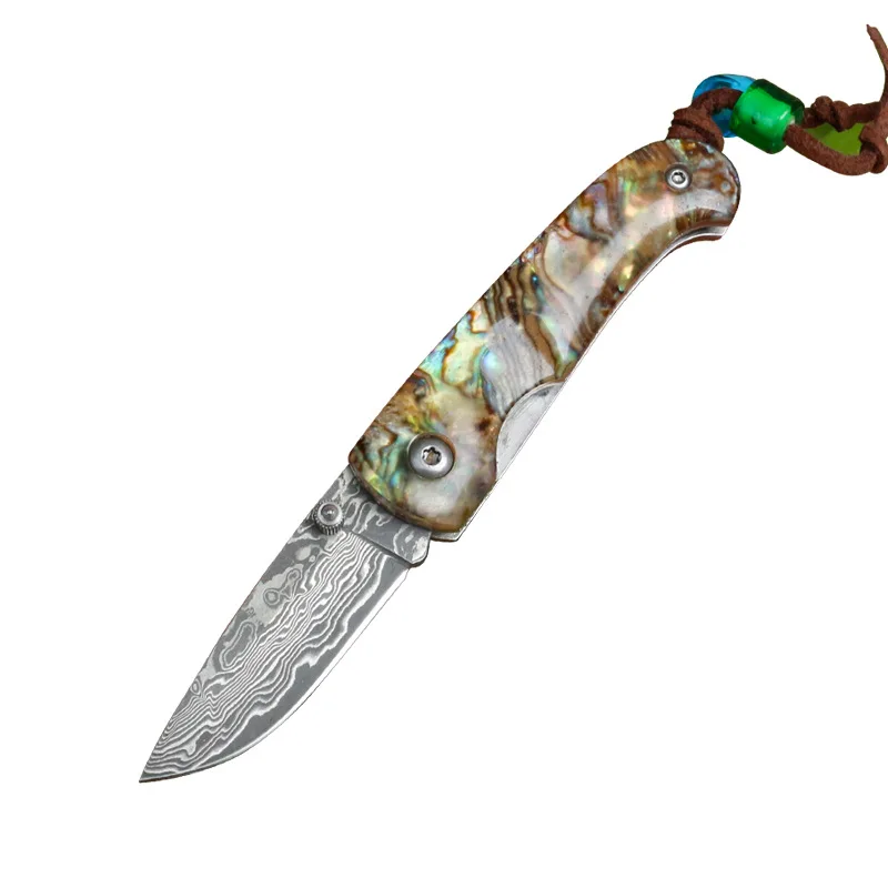 Damascus Steel Outdoor Camping Knife Abalone + Steel Sheet Handle