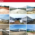Shed Steel Structure Farm Broiler Poultry Shed Steel Structure Poultry House