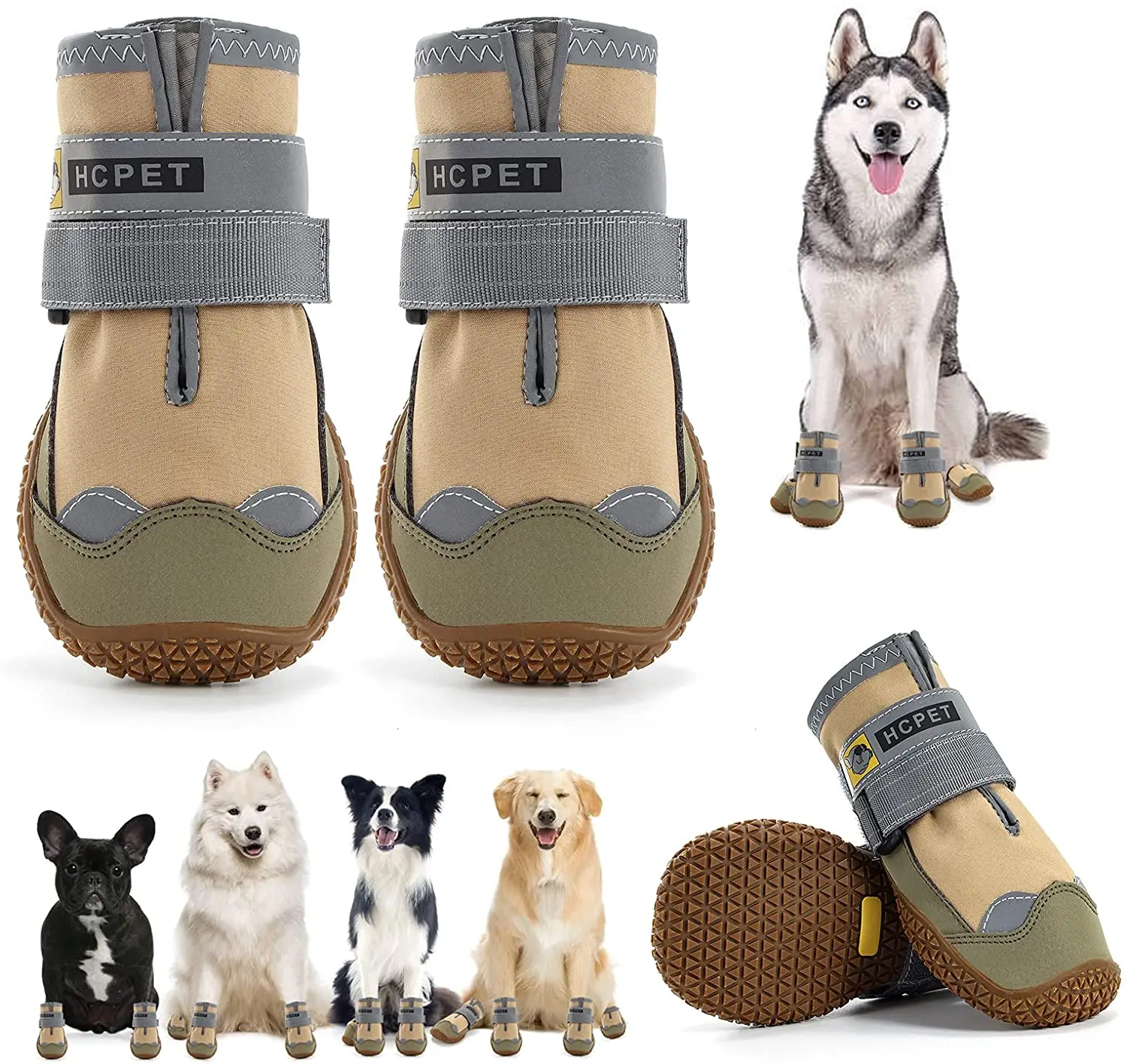 Do Dogs Need Shoes On Hot Pavement