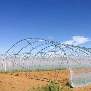 Cheap Single Span Commercial Tunnel/Plastic/Film Farm Agricultural Greenhouse