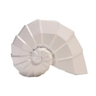 Shell Resin Home Decorations Ocean Geometric Resin Afigurines Conch Shell