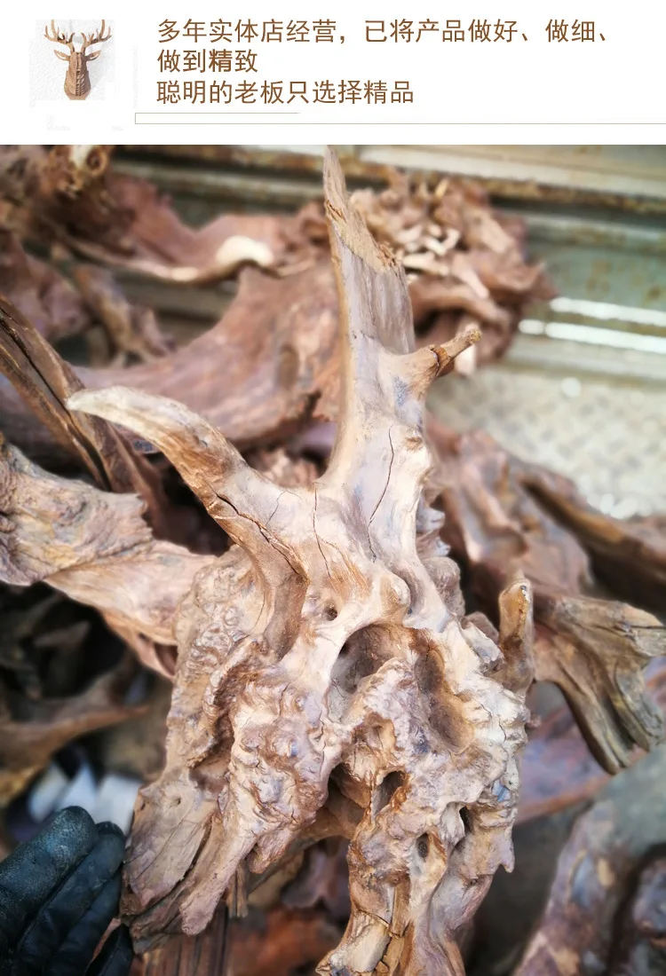 Wholesale Aquatic Plants Landscaping Packaging Export Modeling Fish