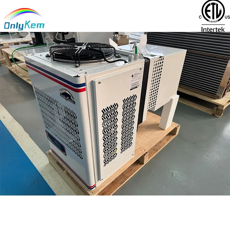 Freezer, 220 V, 500 W - detail 14