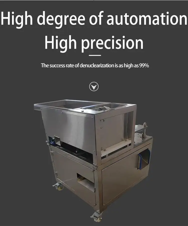 High-efficiency Equipment Automatic Red Dates Pitting Machine Industrial Red Date Processing manufacture