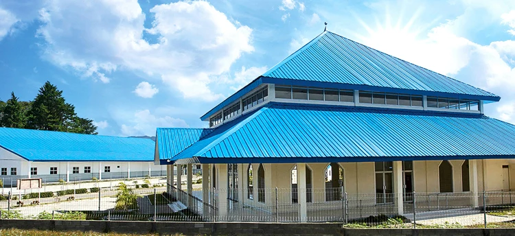 roof house2.jpg