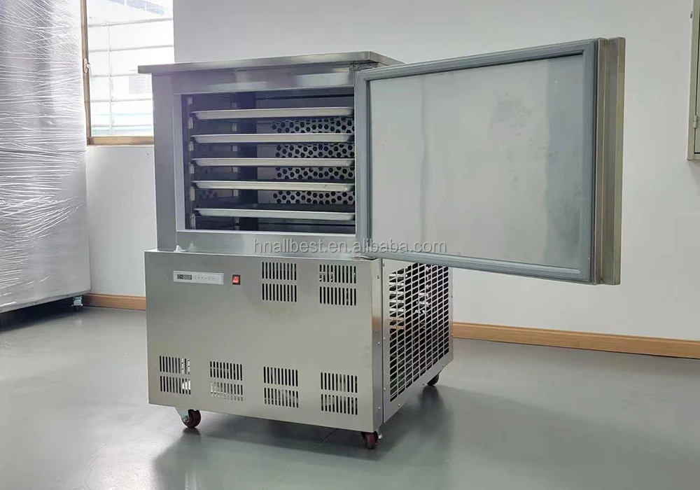 Trays Model Shock Freezer, 220V 50hz, 1200W - detail 20