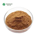 Pure Natural 10% Turkesterone Powder Ajuga Turkestanica Extract Turkesterone