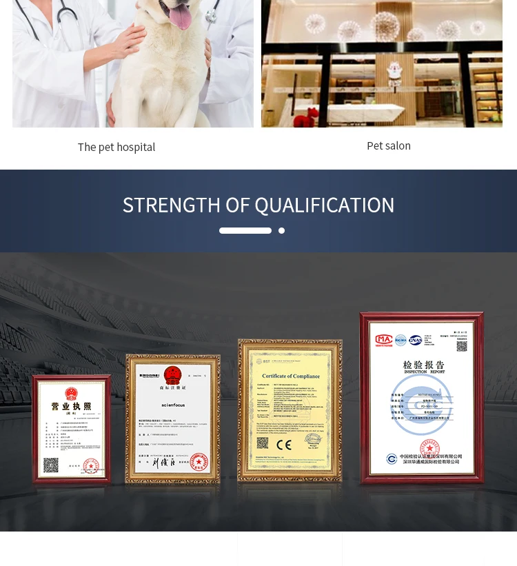 New Pet Grooming Dryer Machine, Automatic Cat Hair Drying Cage Dog Dryer Equipment Stainless Steel Pet Dryer Machine/