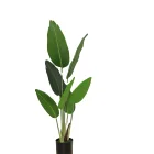 Banana Banana Bonsai Tree Wholesale Real Touch Artificial Banana Trees For Decorative