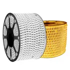 Rgb Led Light RGB Led Strip 2835 Waterproof 5M 120Led/M Led Strip Light 220V Led String Stripe Bar