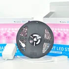 Light Rgbw Led Strip Ledrgbchangeable Flashing Tape Light Dimmable Addressable Rgbw Led Strip Sk6812