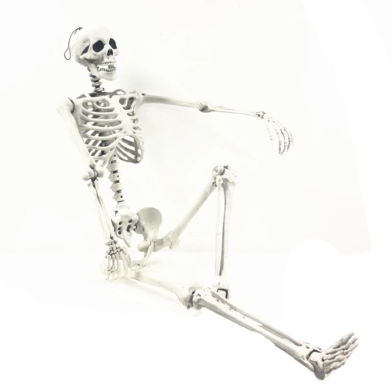 Full Body Posable Halloween Skeleton for Halloween Decorations Haunted House 