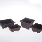 Bonsai Pot Bonsai Large Bonsai Pot Pot Of Bonsai Tree Bonsai Pot