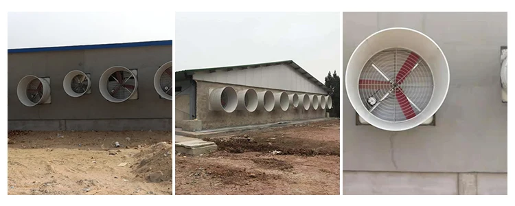 Exhaust Fan, 1630/55inch, Frp - detail 16
