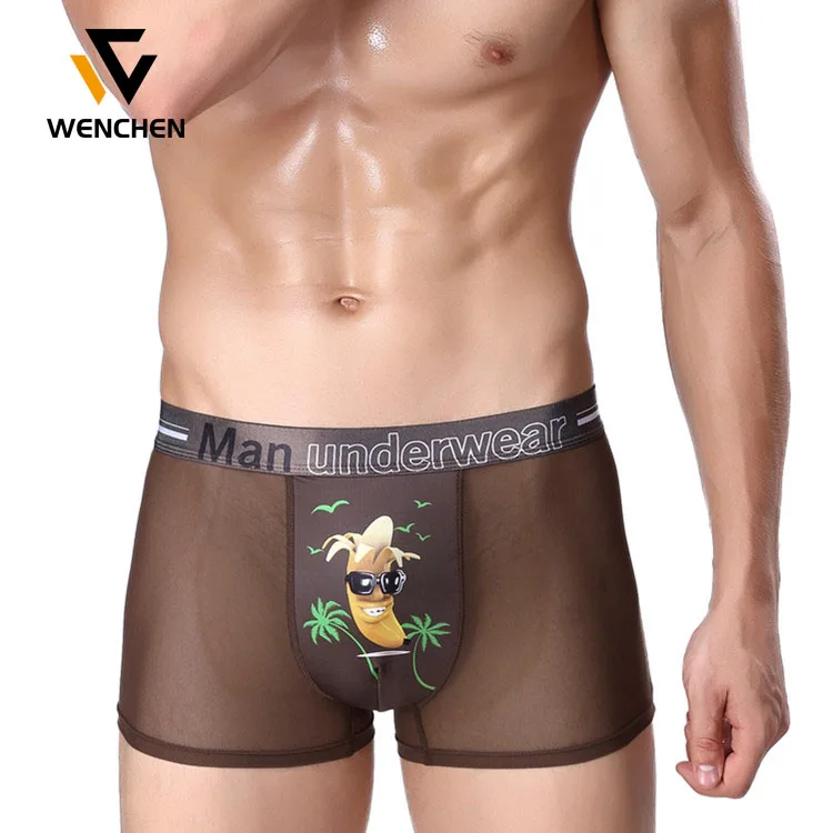 Mens See-Thru Underwear