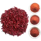 Chili Export The Newest Crop High Quality Chinese Dried Chili