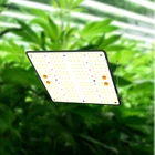 Quantum Light New High PPFD Replacing 1000W HPS In Stock Waterproof Quantum Led Grow Light