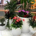 Garden School Outdoor Pot Outdoor Fiberglass Urns Fiberglass Customized Garden Pots Plants For Shopping Mal School