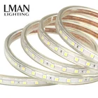 Copper Strip Light 220v Strip Light Wholesale PVC PCB Copper Wire Waterproof IP65 AC 110V 220V SMD 5050 Led Strip Light