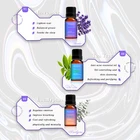 Naturals ORCHARD Oem Organic Naturals 100% Pure Bulk Essential Oil Gift Set 3
