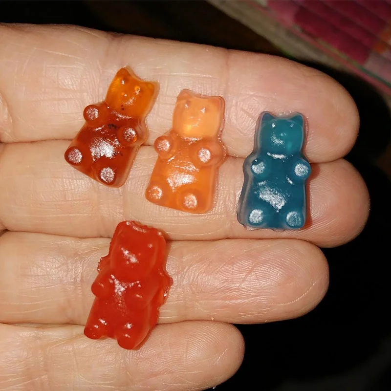 Silicone Candy Gummy Bear Chocolate Molds Including Bears Frogs Lions Monkeys Penguins Gummie Molds