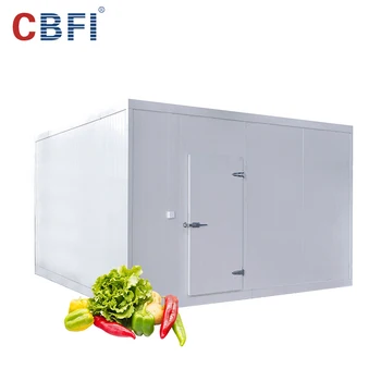 Small freezer room cold storage /cold room refrigeration for fruit