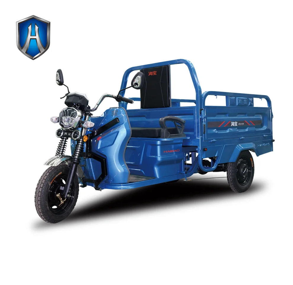 Toto Auto Rickshaw New Cargo E Rickshaw Tricycle Three Wheeler