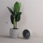 Flower Concrete Factory Direct Supply Ins Style Indoor Cement Flower Pots Cement Flower Pots Concrete Nordic Stripes