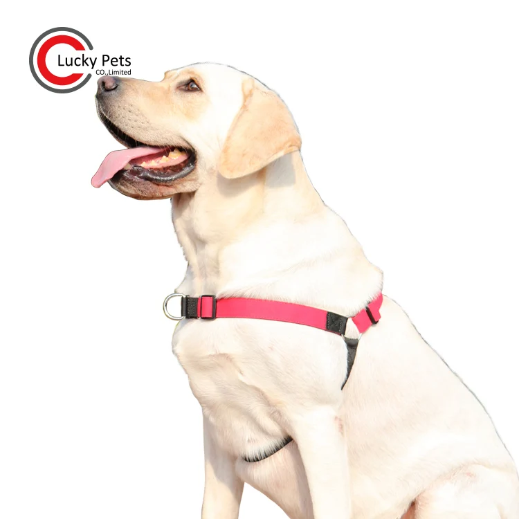 front hooking dog harness