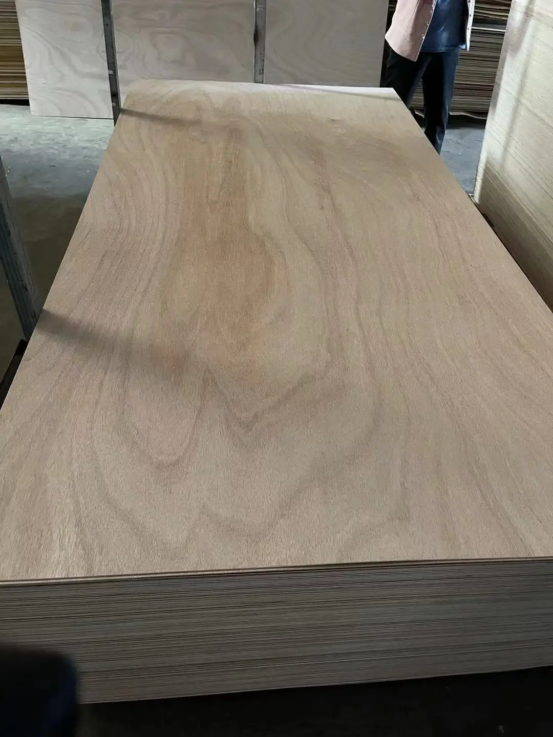 plywood100