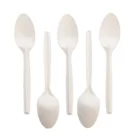 Biodegradable Eco Firendly Chinese Classic Made Of Corn Strach Disposable Cucharas For Soup