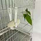 Parrot Parrot Vegetable Clip Snack Fruit Fork Cuttlefish Bone Bird Multifunctional Fixed Clip Parrot Supplies