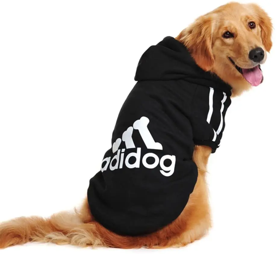 medium size dog jacket