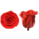 Hot Sale 4-5cm Real Natural Infinity Long Lasting Eternal Forever Preserved Roses Flower Head