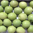 Pear 2020 Hot-selling Bulk Health Pure Fresh Shandong Pear