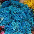 Gifts Most Popular Preserved Flower Bouquet Wholesale Sale Babysbreath For Decoration And Gifts